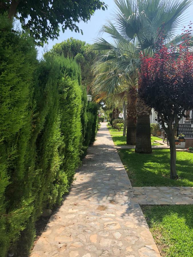 Cabo Roig Holiday House Εξωτερικό φωτογραφία